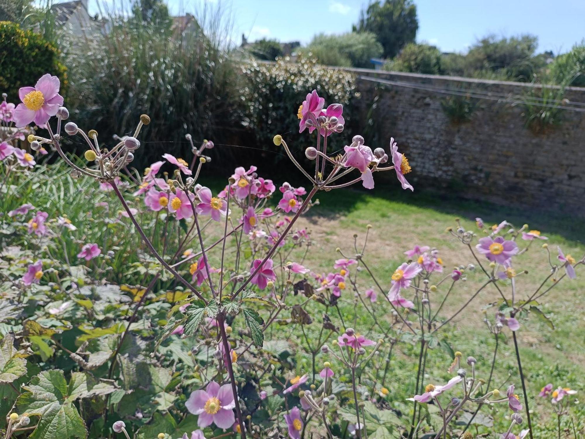 Villa Belle Vie A 30 Metres De La Plage Ver-sur-Mer ภายนอก รูปภาพ