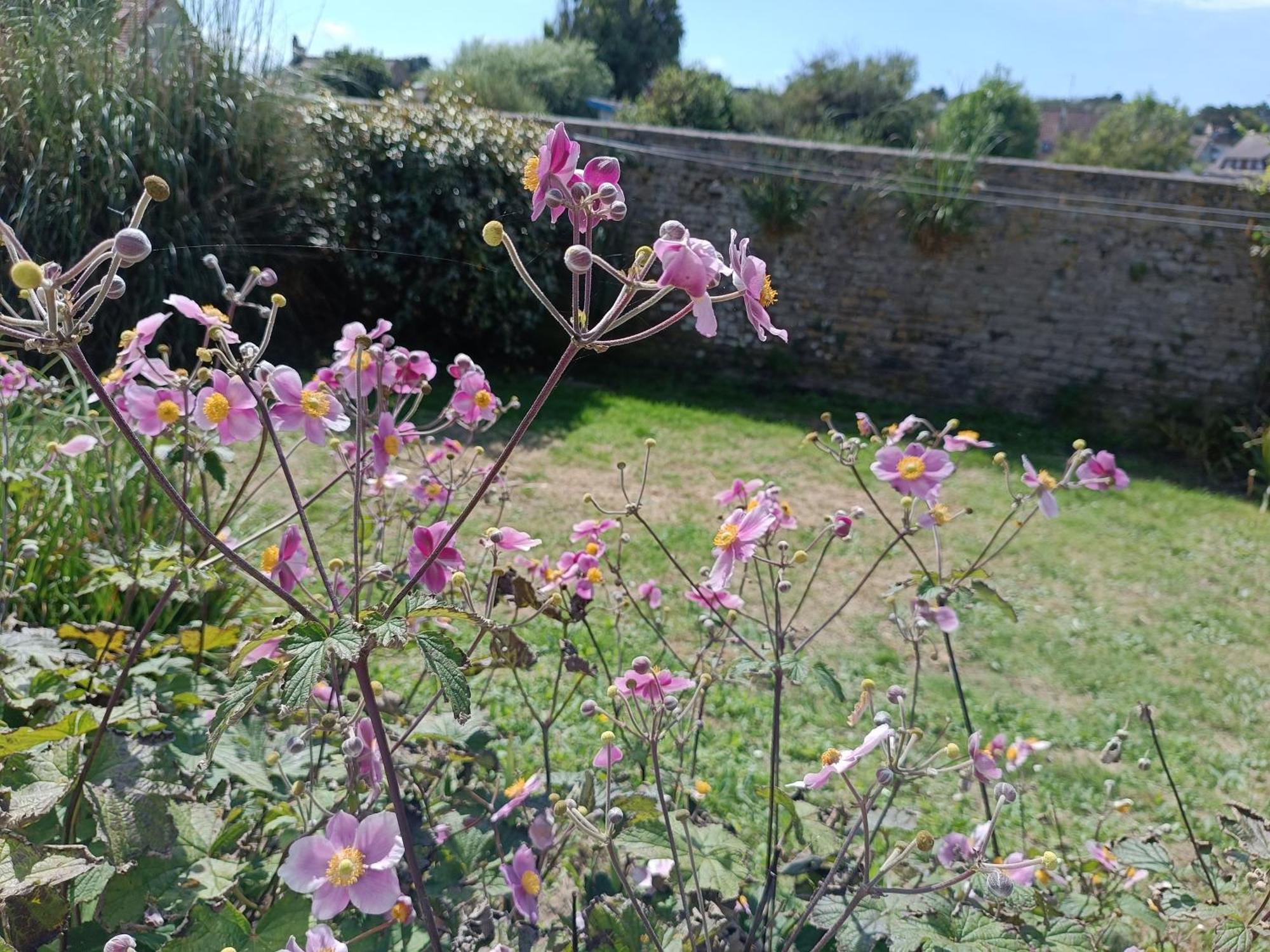 Villa Belle Vie A 30 Metres De La Plage Ver-sur-Mer ภายนอก รูปภาพ